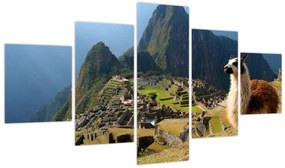 Obraz - Lama i Machu Picchu (125x70 cm)
