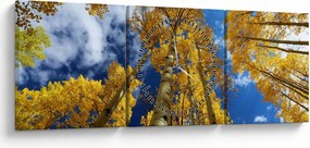 Obraz - Aspen (z zegarem) (90x30 cm)