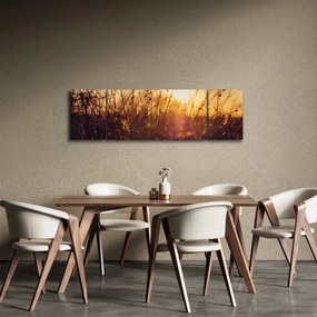 Obraz pola o zachodzie słońca (170x50 cm)