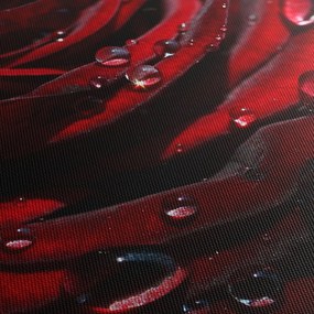Obraz - Detal róży (70x50 cm)