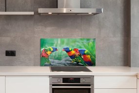 Panel Kuchenny Szklany Egzotyczne Papugi w Koronie Drzew