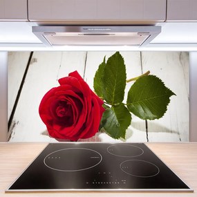 Panel Szklany Klasyczna Czerwona Róża