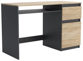 Biurko komputerowe młodzieżowe szkolne 120 cm REMI1 Antracyt/Dąb Sonoma