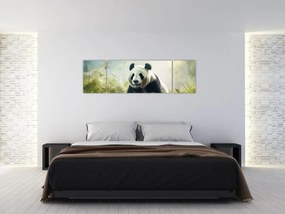 Obraz - Panda (170x50 cm)