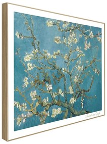 Obraz 40x50 cm Van Gogh: Almond Blossoms