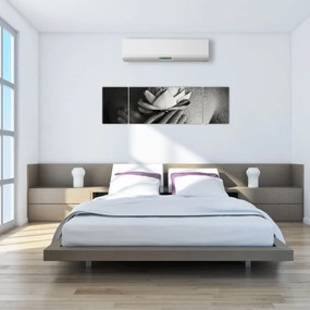 Obraz - Lotos w rękach Buddy (170x50 cm)
