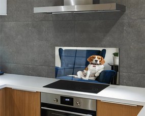 Panel Kuchenny Szklany Spokojny Siedzący Pupil