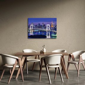 Obraz wielkiego miasta nocą (70x50 cm)