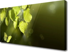 Zdjęcie na płótnie Spokój Natury: Bambus i Orchidea