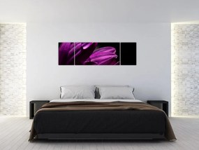 Obraz  - Kropla wody (170x50 cm)