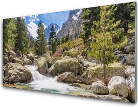 Panel Szklany Dziki Potok w Górskim Lesie