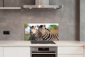 Szklany Panel Rodzina Zebr na Sawannie