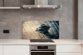 Szklany Panel Zarys Głowy Postaci