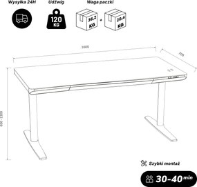 Biurko elektryczne sit-stand z szufladą i ładowarką bezprzewodową Qi białe/złoty dąb, 1600 mm: ELLIS