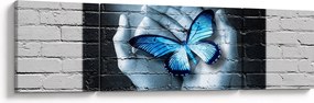 Obraz niebieskiego motyla na ścianie (170x50 cm)