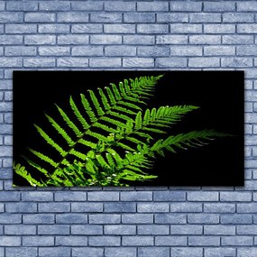 Obraz canvas na ścianę Słońce w Katedrze Drzew