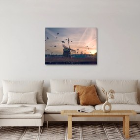 Obraz wiatraka (70x50 cm)