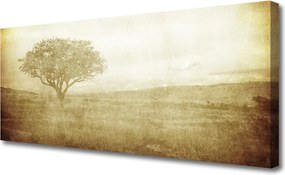 Fotoobraz na płótnie Korona Rozłożystego Drzewa