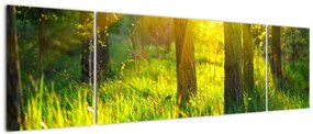 Obraz - Wiosenne przebudzenie lasu (170x50 cm)