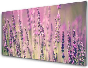 Panel Szklany Rozkwitająca Natura w Kwiatach