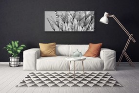 Obraz na płótnie Ulotność Mniszka Lekarskiego