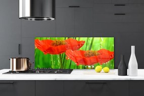 Szkło Ozdobne do Kuchni Klasyczne Maki W Rozkwicie