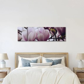 Obraz - Magnolia (170x50 cm)