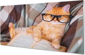 Panel Szklany Inteligentny Kot Bibliofil