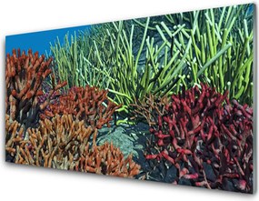 Panel Szklany Podwodne Życie Rafy