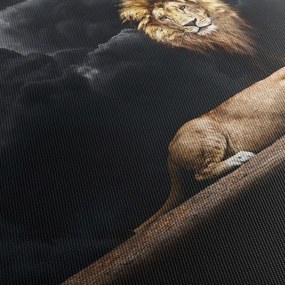 Obraz - Lew i lwica w chmurach (170x50 cm)