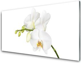 Szkło do Kuchni na Ścianę Egzotyczna Elegancja Orchidei