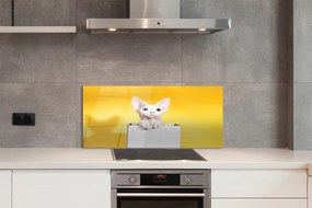 Panel szklany do Kuchni Kot w Oczekiwaniu