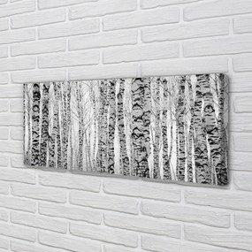 Fotoobraz na płótnie Czarno-Biały Las Brzozowy