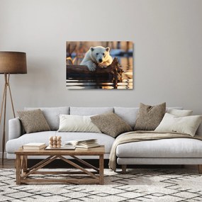 Obraz na szkle - Niedźwiedź polarny (70x50 cm)