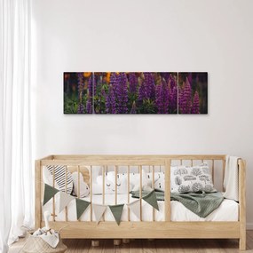 Obraz kwiatów łubinu (170x50 cm)