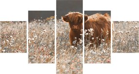Obraz - Szkocka krowa w kwiatach (125x70 cm)