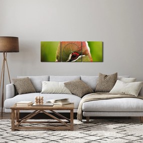 Obraz kolorowego ptaka (z zegarem) (90x30 cm)