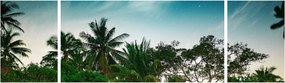 Obraz - palmy (170x50 cm)