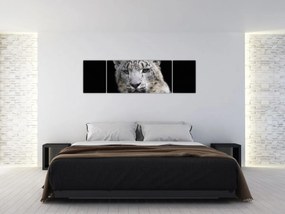 Obraz - Snow Leopard (170x50 cm)