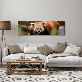 Obraz czerwonej pandy (170x50 cm)