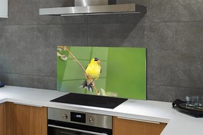 Panel Kuchenny Szklany Słoneczna Żółta Papuga