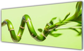 Szkło do Kuchni na Ścianę Świeże Pędy Zielonego Bambusa