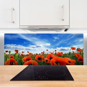 Panel Szklany Czerwone Maki w Blasku Słońca