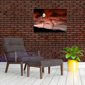 Obraz - Księżyc oświetlający noc (70x50 cm)