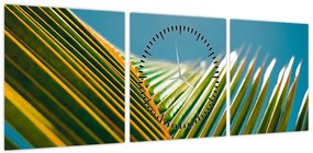 Obraz - Detal liścia palmowego (z zegarem) (90x30 cm)