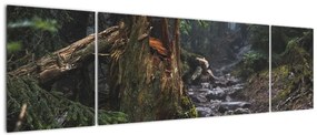 Obraz - W lesie (170x50 cm)