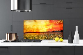 Szkło Dekoracyjne do Kuchni Słoneczniki na Polnej Łące