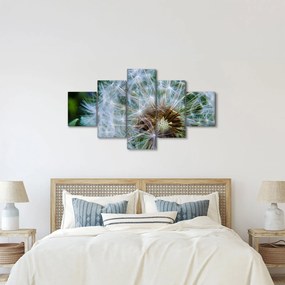 Obraz przekwitniętego dmuchawca (125x70 cm)