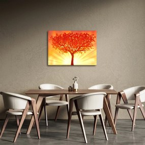 Obraz - Drzewo w słońcu (70x50 cm)