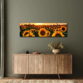 Obraz - Słonecznik (170x50 cm)